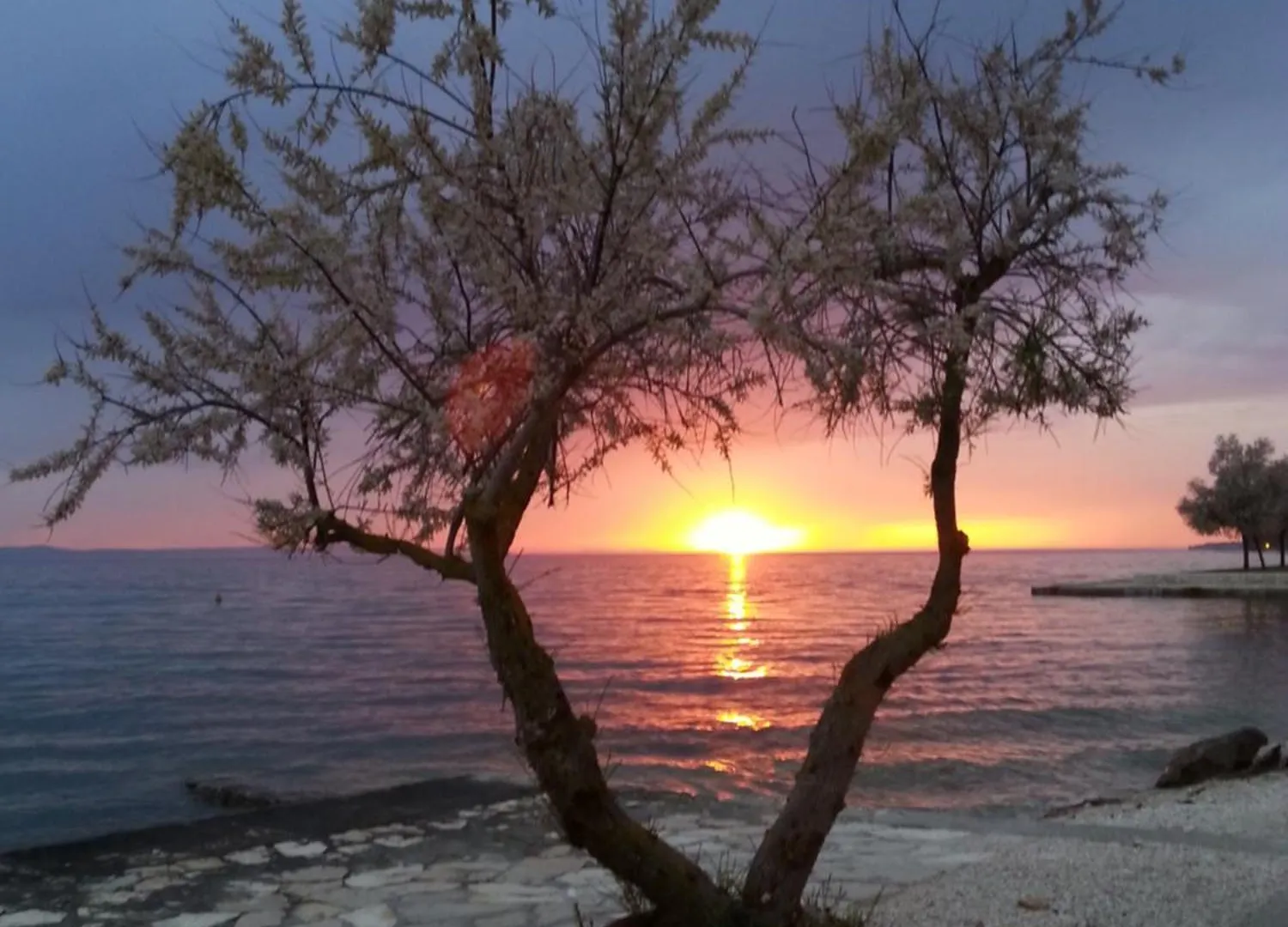 Apartmani Basioli Zadar Apartment